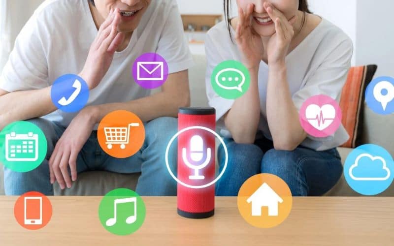 Voice Search & Smart Speakers